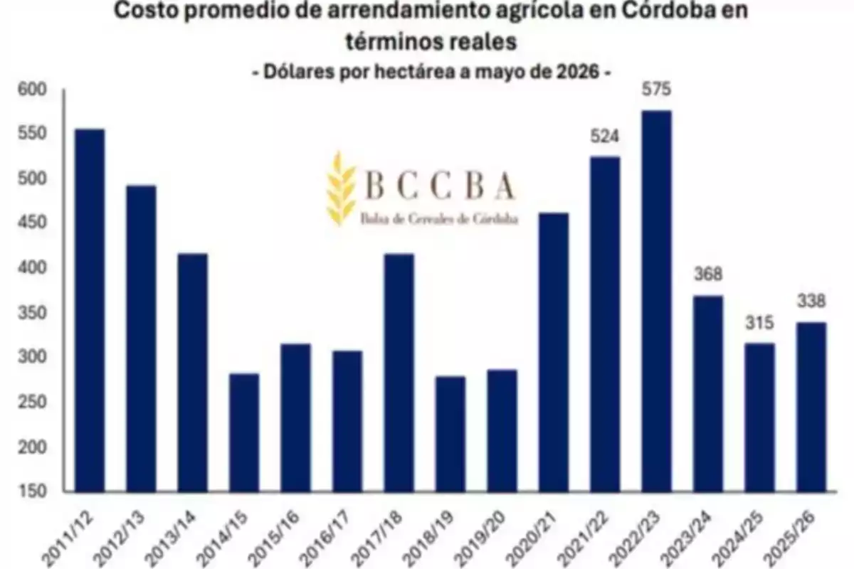 Gráfico de barras que muestra la evolución del costo promedio de arrendamiento agrícola en Córdoba en dólares por hectárea entre las campañas 2011/12 y 2025/26 con valores máximos en 2011/12 y 2022/23 y una tendencia a la baja en los últimos años según datos de la Bolsa de Cereales de Córdoba Gráfico de barras que muestra la evolución del costo promedio de arrendamiento agrícola en Córdoba en dólares por hectárea entre las campañas 2011/12 y 2025/26 con valores máximos en 2011/12 y 2022/23 y una tendencia a la baja en los últimos años según datos de la Bolsa de Cereales de Córdoba