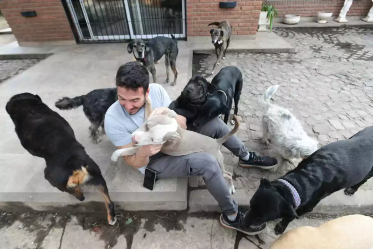 Man sitting at the entrance of a house surrounded by several dogs of different sizes and colors while playing with and petting one of them