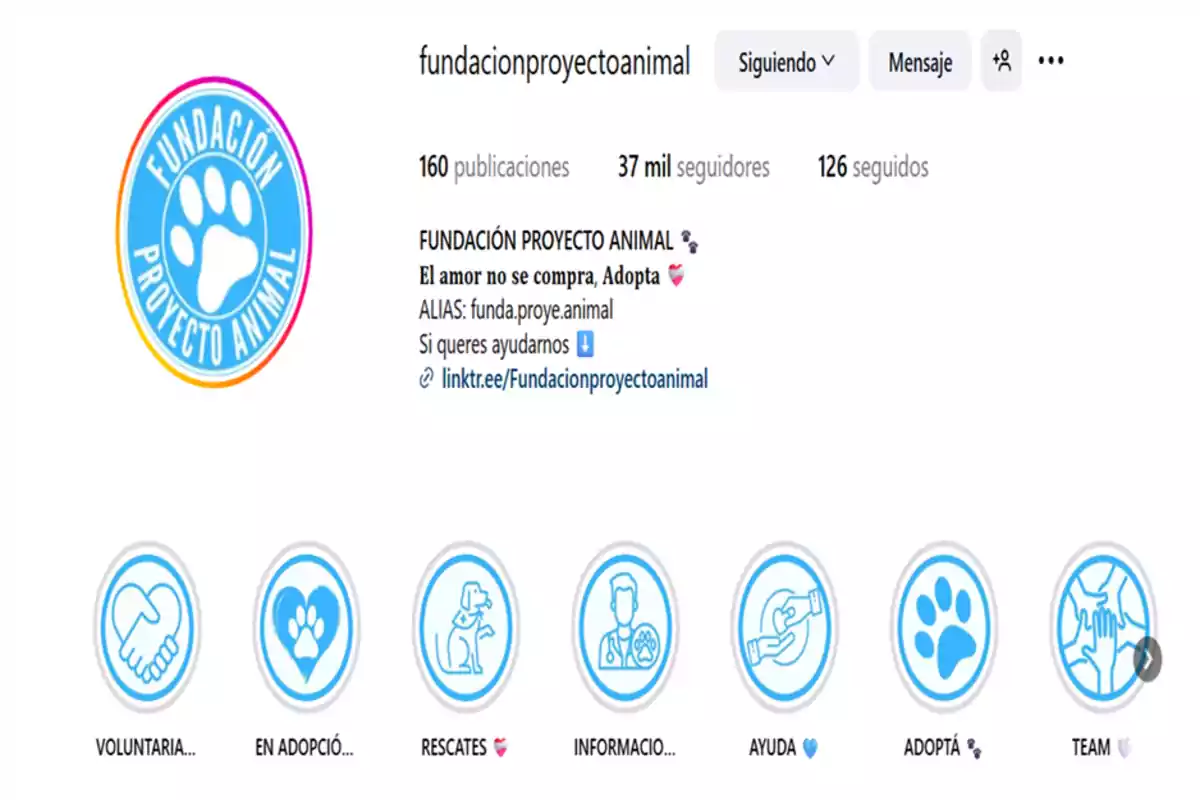 Instagram profile of Fundación Proyecto Animal with its blue paw logo and several highlighted stories about volunteering, adoptions, rescues, information, help, adopt, and team Instagram profile of Fundación Proyecto Animal with its blue paw logo and several highlighted stories about volunteering, adoptions, rescues, information, help, adopt, and team