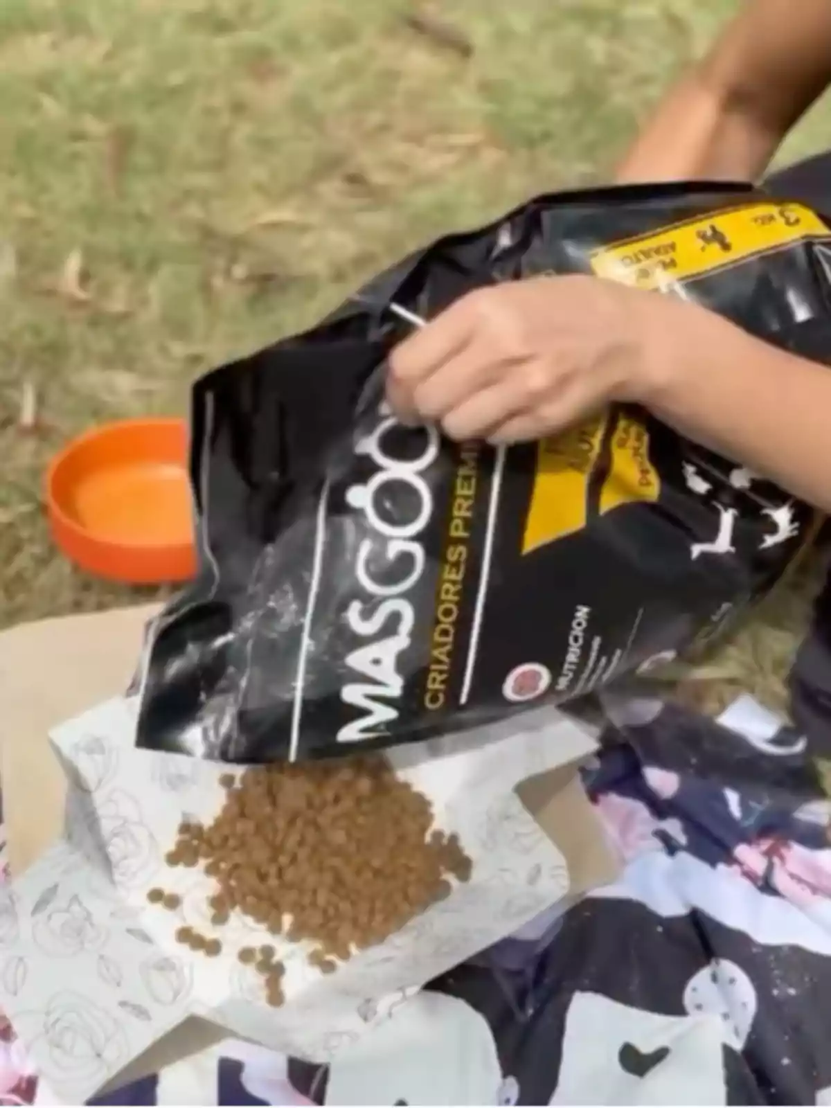 Person serving croquettes from a black bag onto a decorated paper surface at an outdoor picnic Person serving croquettes from a black bag onto a decorated paper surface at an outdoor picnic