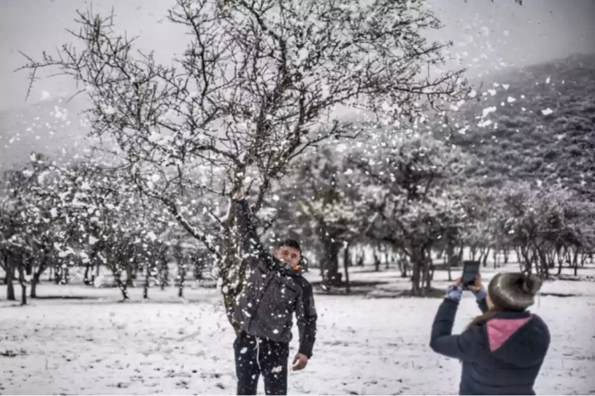 Un hombre sacude la rama de un árbol cubierto de nieve mientras una persona lo fotografía en un paisaje invernal. Un hombre sacude la rama de un árbol cubierto de nieve mientras una persona lo fotografía en un paisaje invernal.