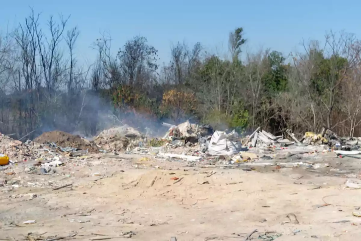 Open-air landfill with smoke and trees in the background on a sunny day Open-air landfill with smoke and trees in the background on a sunny day
