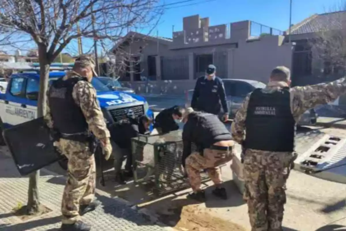 Several environmental patrol agents and police officers work together on the street to secure a metal cage in front of an official truck.