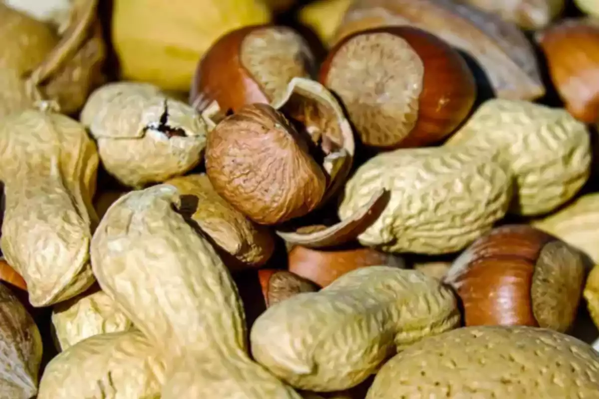 Cacahuates y avellanas con cáscara vistos de cerca Cacahuates y avellanas con cáscara vistos de cerca