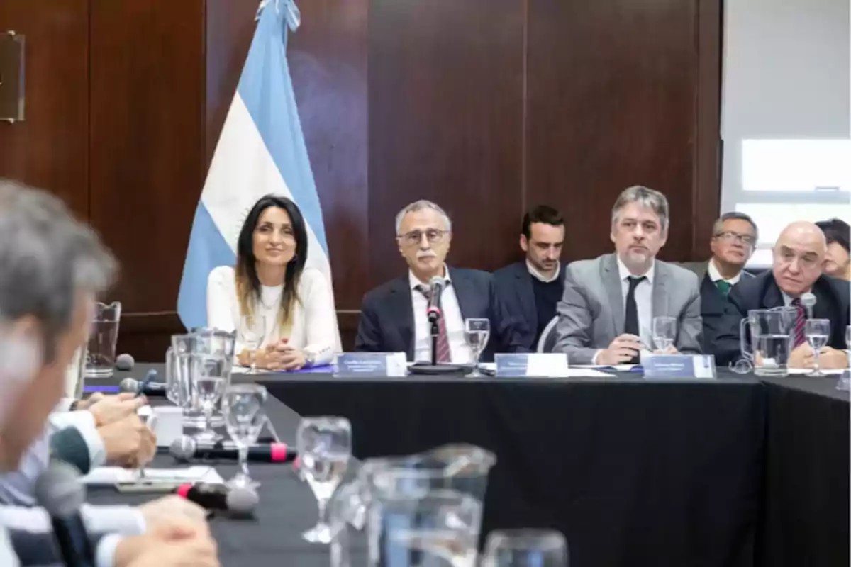 Varias personas sentadas en una mesa de reunión con micrófonos y vasos de agua, al fondo una bandera de Argentina