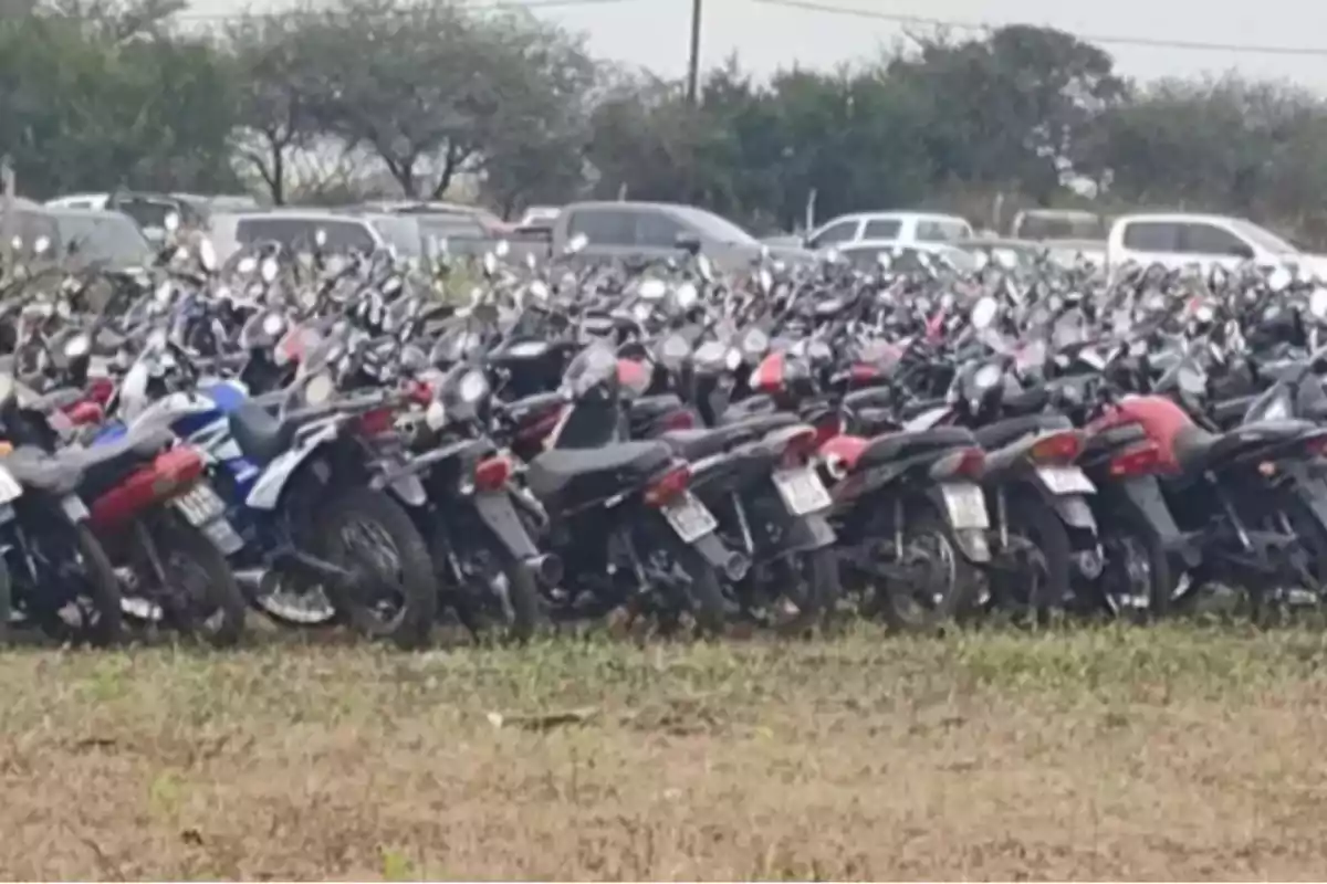 Many motorcycles parked on an open lot with some cars in the background and trees around.