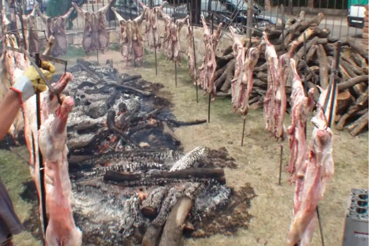 Varios corderos asándose en estacas alrededor de una fogata al aire libre con leña apilada al fondo Varios corderos asándose en estacas alrededor de una fogata al aire libre con leña apilada al fondo