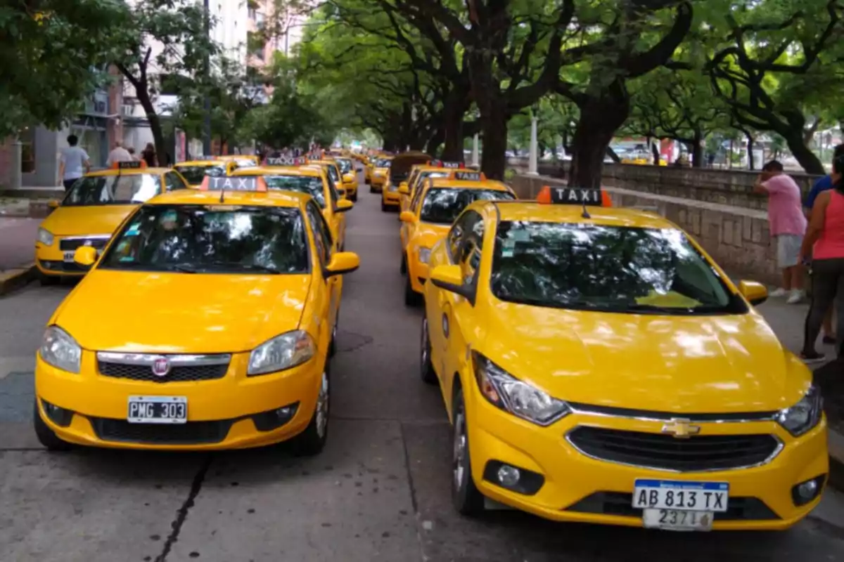 Varios taxis amarillos estacionados en fila en una calle arbolada con personas caminando por la acera