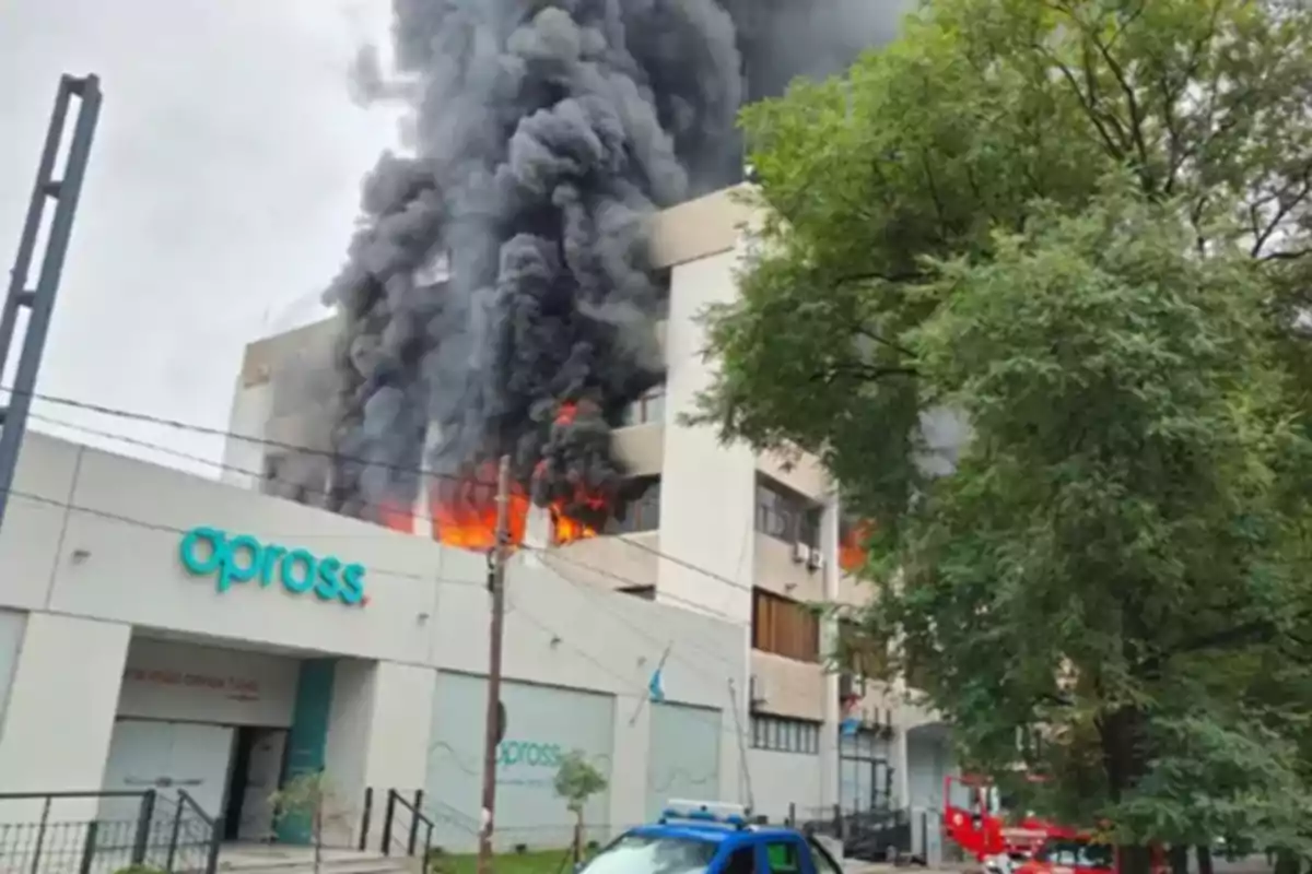 Office building with a fire on the top floor and black smoke coming out of the windows, while a tree and a blue vehicle are visible in the foreground.
