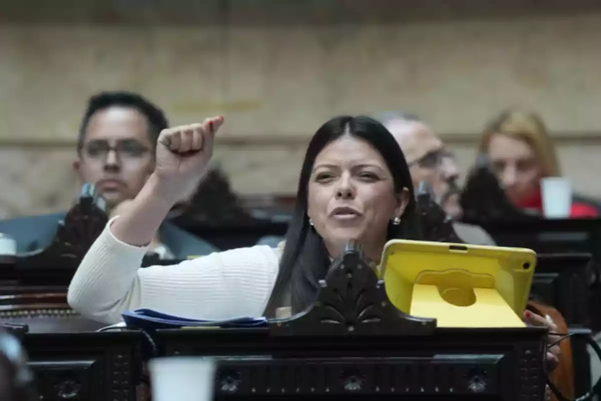 Long-haired, dark-haired woman raising her fist while speaking in a parliamentary chamber with a yellow tablet in front of her Long-haired, dark-haired woman raising her fist while speaking in a parliamentary chamber with a yellow tablet in front of her
