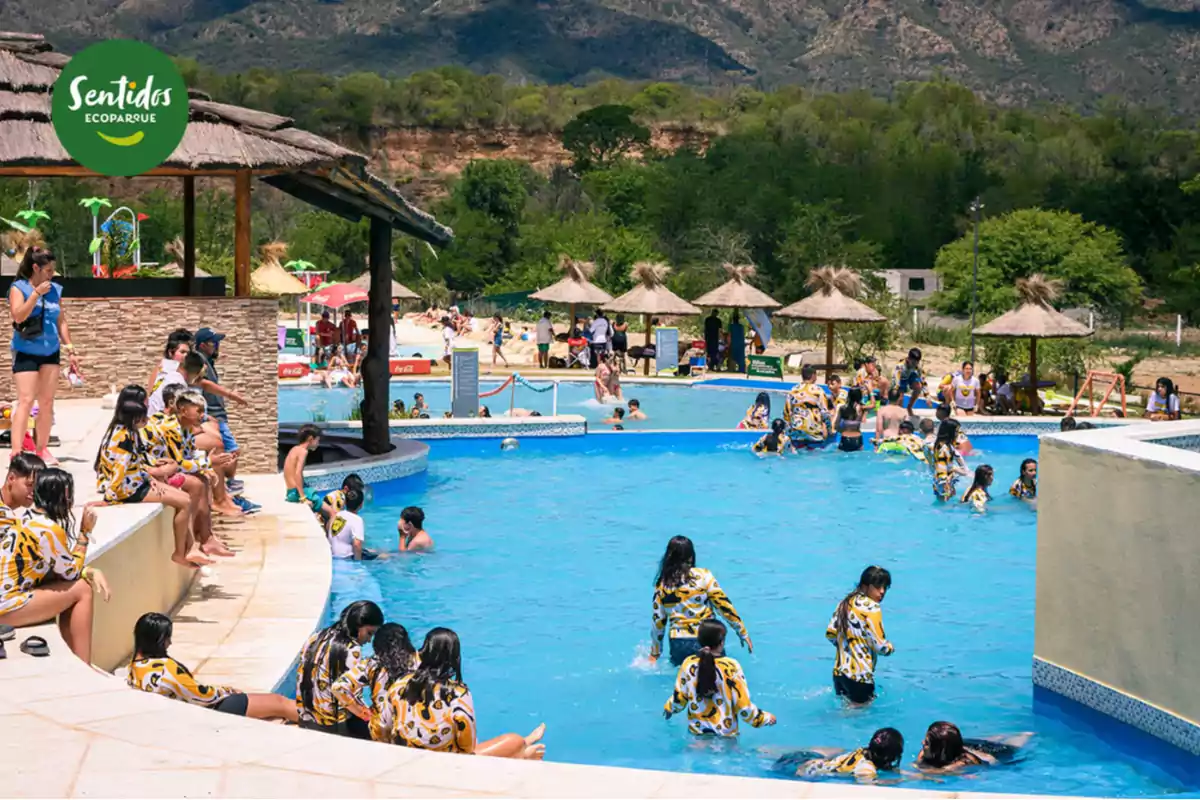 People enjoying a pool in a water park surrounded by nature and palm umbrellas