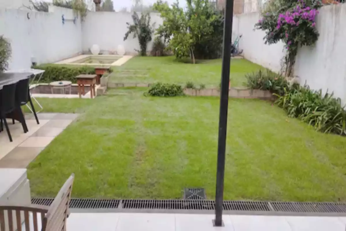 Backyard with grass, trees, a table with chairs, and plants along the edges