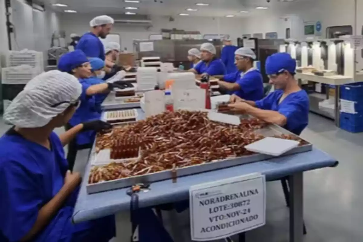 Personas con uniforme azul y gorros de protección trabajan en una línea de producción farmacéutica manipulando ampolletas de noradrenalina en un ambiente limpio y controlado Personas con uniforme azul y gorros de protección trabajan en una línea de producción farmacéutica manipulando ampolletas de noradrenalina en un ambiente limpio y controlado
