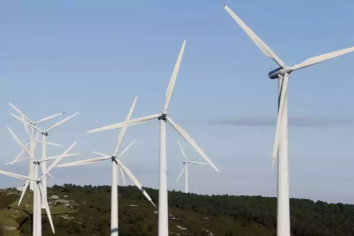 Varios aerogeneradores en funcionamiento sobre una colina bajo un cielo despejado Varios aerogeneradores en funcionamiento sobre una colina bajo un cielo despejado