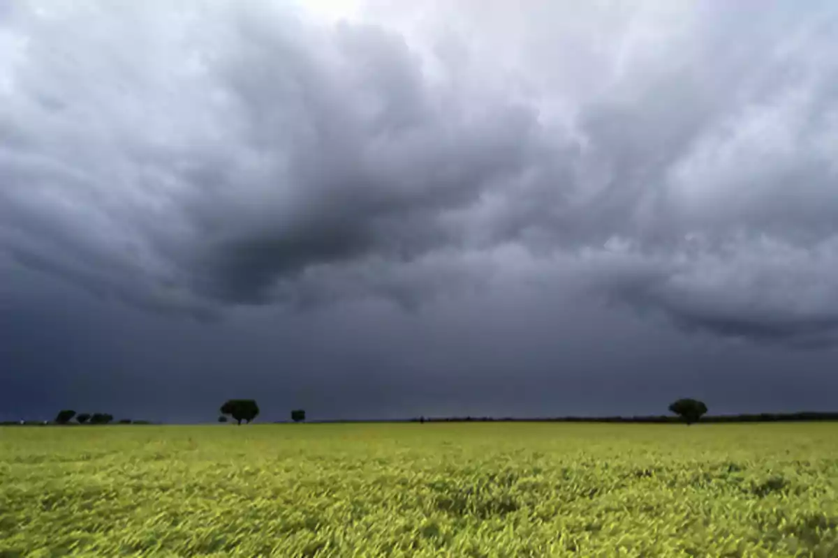 Cloudy, dark sky over a green field with a few scattered trees on the horizon