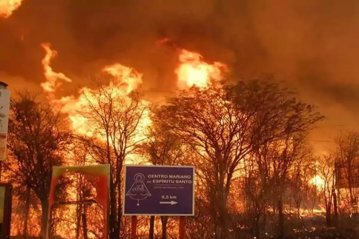 Incendio forestal de gran magnitud arrasando árboles y vegetación cerca de un letrero azul que indica la dirección a un centro religioso Incendio forestal de gran magnitud arrasando árboles y vegetación cerca de un letrero azul que indica la dirección a un centro religioso