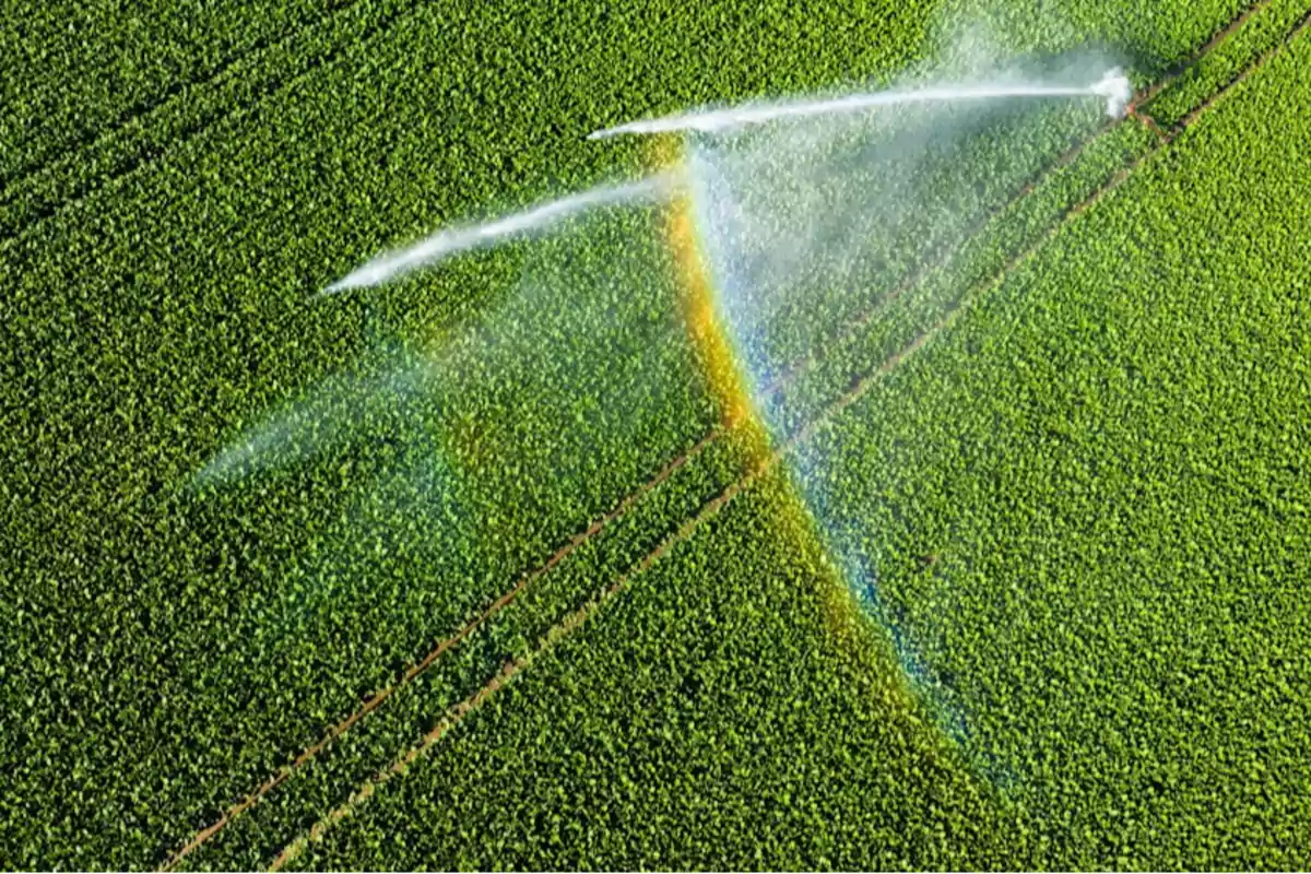 Green field seen from above with an automatic irrigation system and a rainbow formed by the sprayed water Green field seen from above with an automatic irrigation system and a rainbow formed by the sprayed water