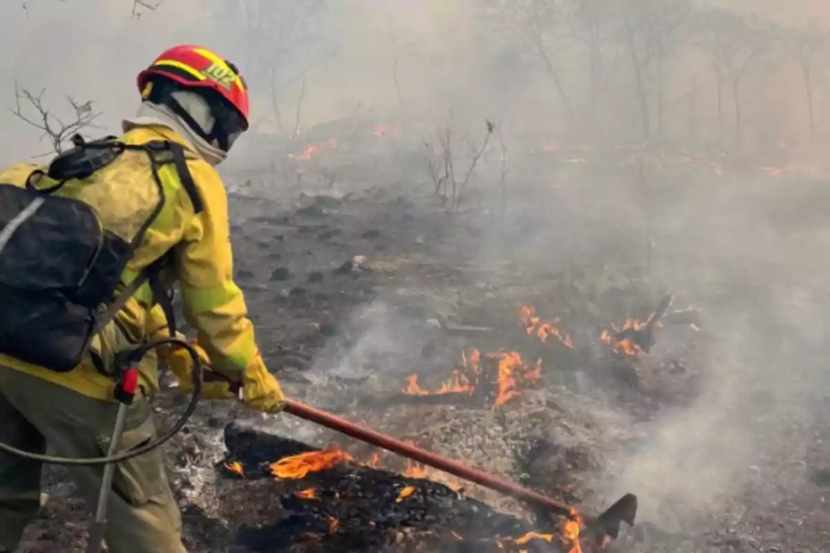 Bombero con equipo de protección combate un incendio forestal entre humo y llamas en un área de vegetación quemada