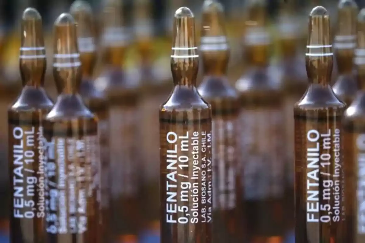 Glass vials with injectable fentanyl solution lined up in rows Glass vials with injectable fentanyl solution lined up in rows
