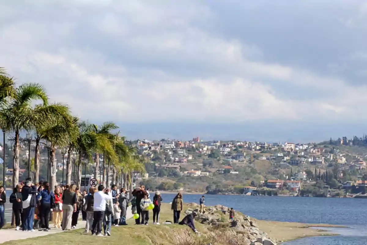 Personas caminando junto a una fila de palmeras al lado de un lago con casas en una colina al fondo bajo un cielo nublado
