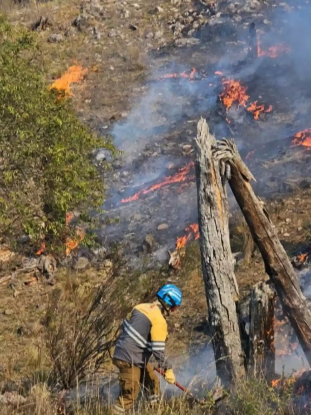 Persona con casco azul y chaqueta amarilla combate un incendio forestal en una zona de pastizales y árboles secos mientras el fuego y el humo se extienden por el terreno Persona con casco azul y chaqueta amarilla combate un incendio forestal en una zona de pastizales y árboles secos mientras el fuego y el humo se extienden por el terreno