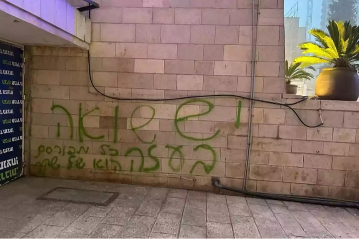 Pared de ladrillos con grafiti en hebreo pintado con aerosol verde y una maceta grande con una planta al fondo Pared de ladrillos con grafiti en hebreo pintado con aerosol verde y una maceta grande con una planta al fondo