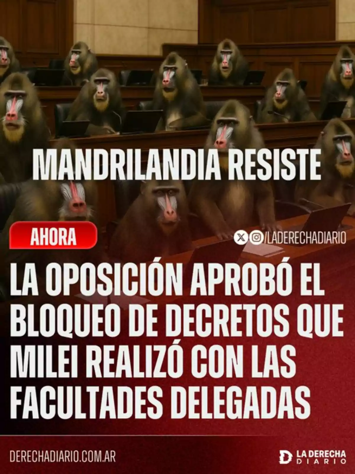 Varios mandriles sentados en un recinto parlamentario con un texto que dice Mandrilandia resiste y un titular sobre la oposición aprobando el bloqueo de decretos de Milei Varios mandriles sentados en un recinto parlamentario con un texto que dice Mandrilandia resiste y un titular sobre la oposición aprobando el bloqueo de decretos de Milei