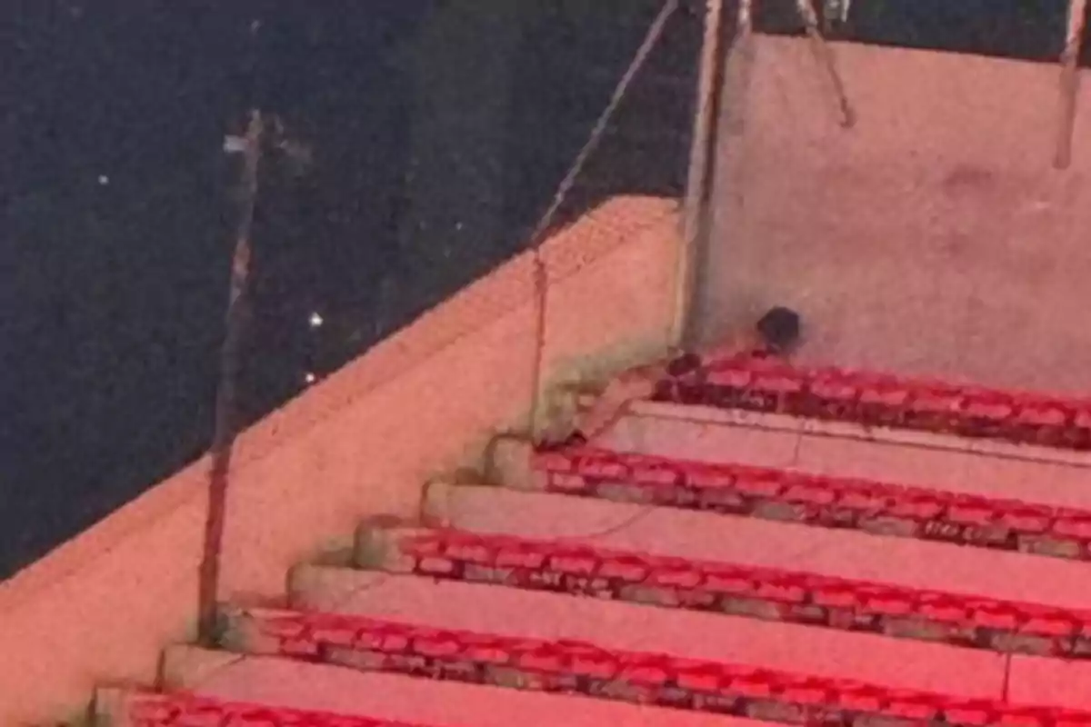 A black cat is sitting in the corner of some stadium bleachers with red seats. A black cat is sitting in the corner of some stadium bleachers with red seats.