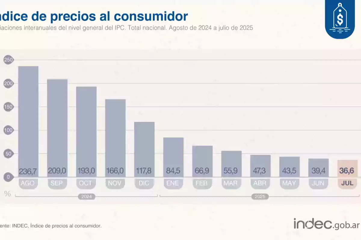 Bar chart showing the projected consumer price index in Argentina from August 2024 to July 2025 with a downward trend in monthly values Bar chart showing the projected consumer price index in Argentina from August 2024 to July 2025 with a downward trend in monthly values