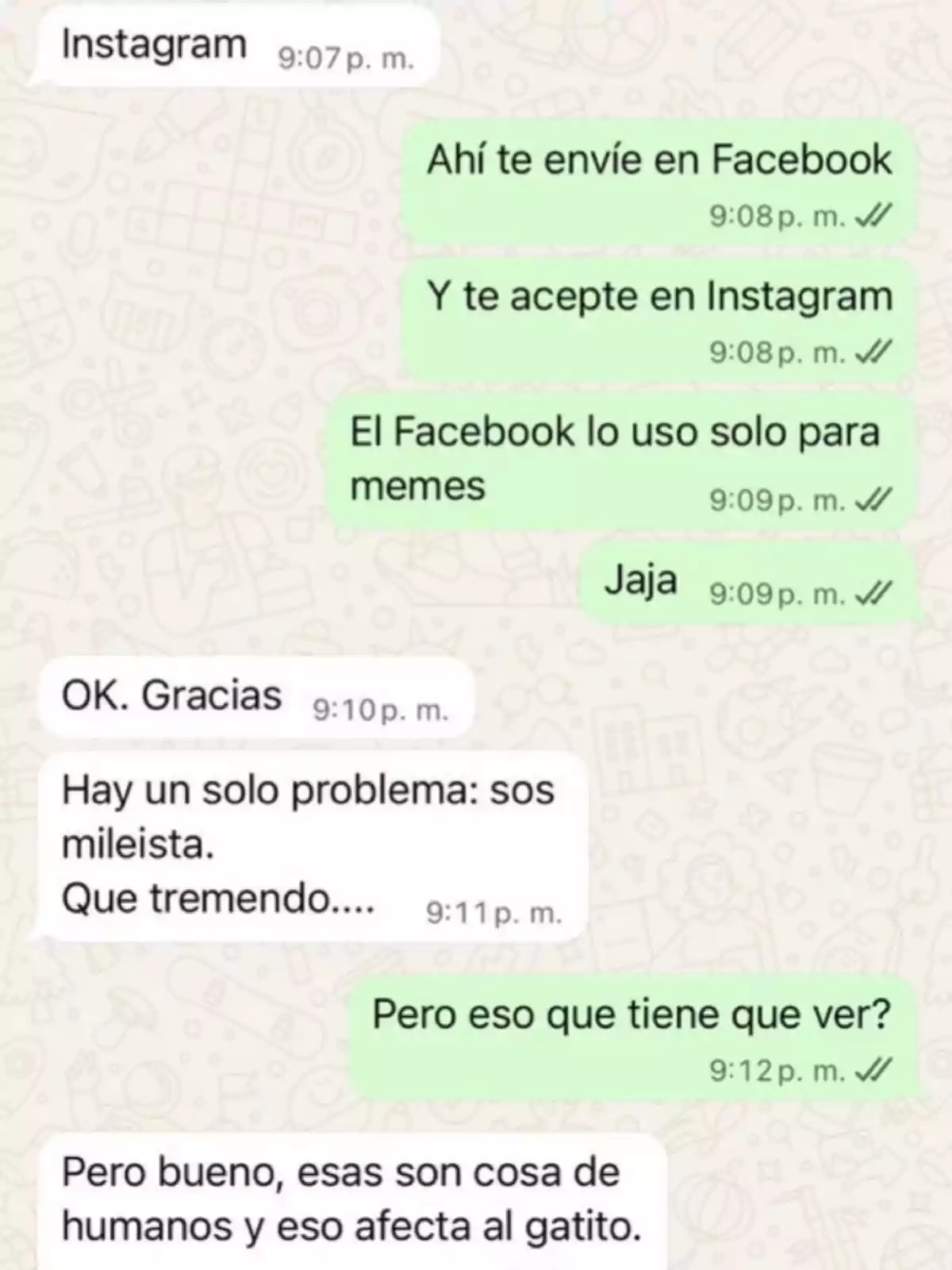 Screenshot of a WhatsApp conversation where two people talk about adding each other on social media and one mentions that the other is a Milei supporter, which they consider a problem, and ends by saying that this affects the kitten. Screenshot of a WhatsApp conversation where two people talk about adding each other on social media and one mentions that the other is a Milei supporter, which they consider a problem, and ends by saying that this affects the kitten.