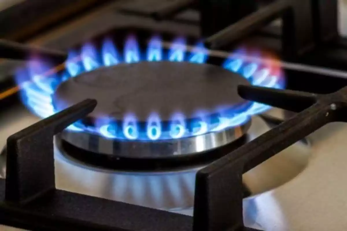 Gas stove lit with a blue flame around the burner Gas stove lit with a blue flame around the burner