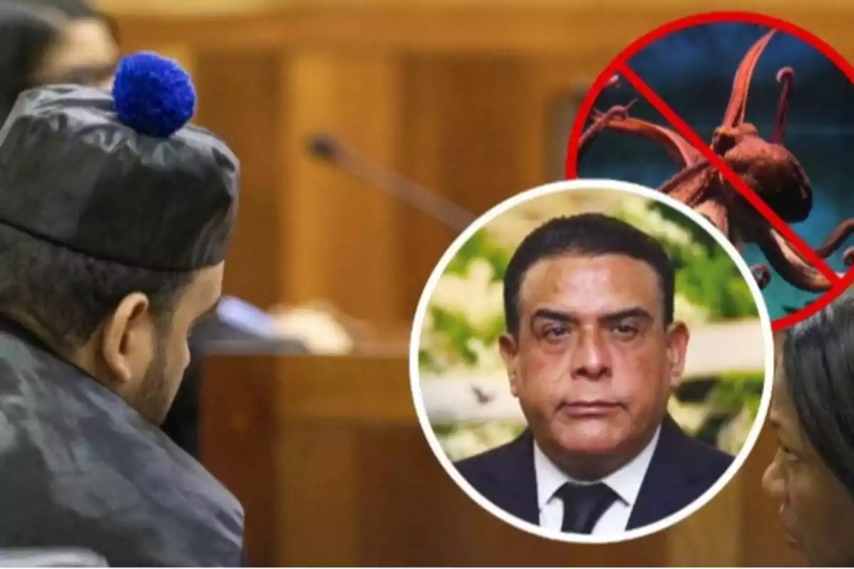 Un hombre con birrete negro y borla azul está sentado en una sala, mientras en la imagen se superpone un círculo con el retrato de un hombre de traje y una señal de prohibido sobre un pulpo