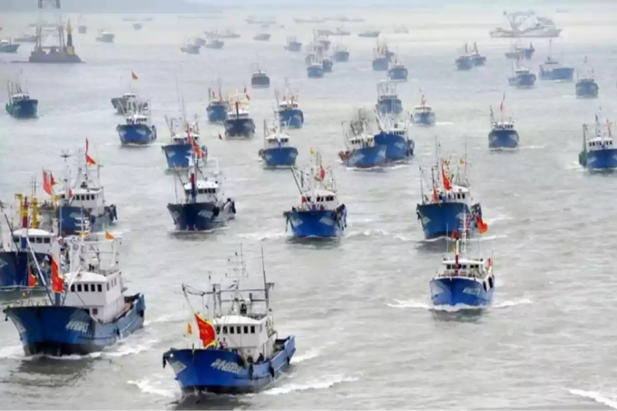 Numerous blue fishing boats sail together on the sea during the day. Numerous blue fishing boats sail together on the sea during the day.