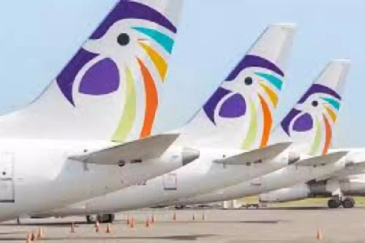 Tres aviones alineados en pista con el logo de un ave colorida en la cola Tres aviones alineados en pista con el logo de un ave colorida en la cola
