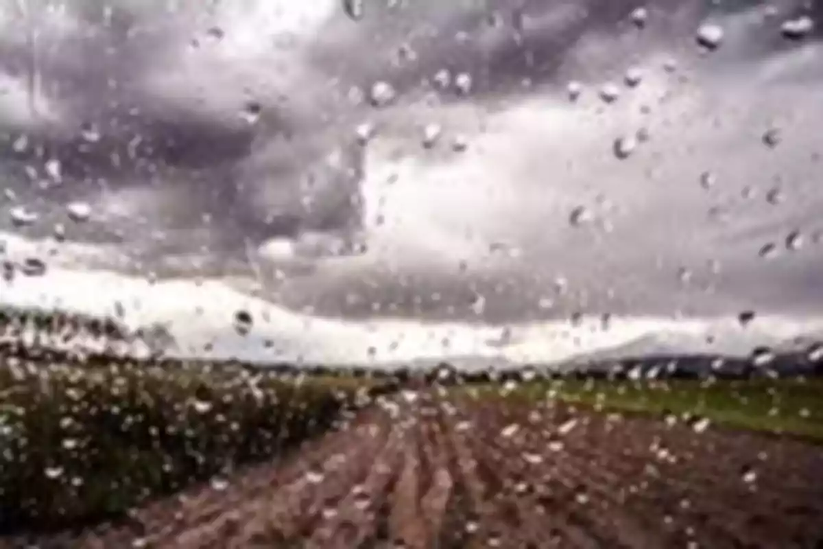 Raindrops on a window with a field and cloudy sky in the background Raindrops on a window with a field and cloudy sky in the background