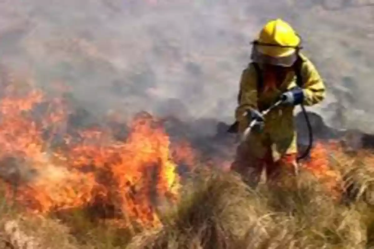 Bombero con traje de protección apagando un incendio forestal entre llamas y humo Bombero con traje de protección apagando un incendio forestal entre llamas y humo