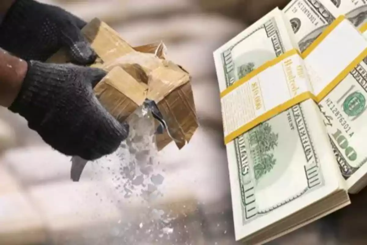 Gloved hands open a package of white powder while stacks of hundred-dollar bills lie nearby. Gloved hands open a package of white powder while stacks of hundred-dollar bills lie nearby.