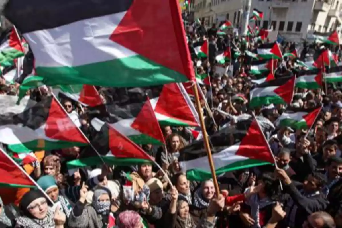 Multitud de personas ondeando banderas de Palestina en una manifestación en la calle Multitud de personas ondeando banderas de Palestina en una manifestación en la calle