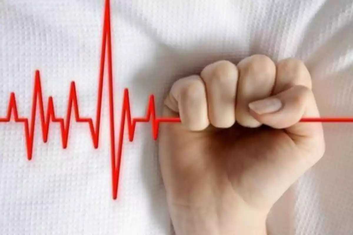 A closed hand holds a red electrocardiogram line over a white sheet. A closed hand holds a red electrocardiogram line over a white sheet.