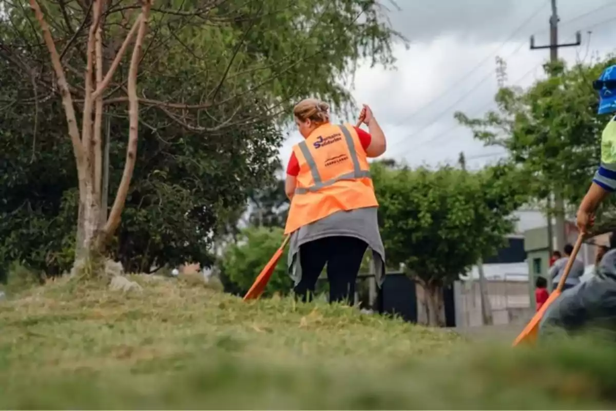 Personas con chaleco naranja limpiando un área verde con árboles y pasto Personas con chaleco naranja limpiando un área verde con árboles y pasto