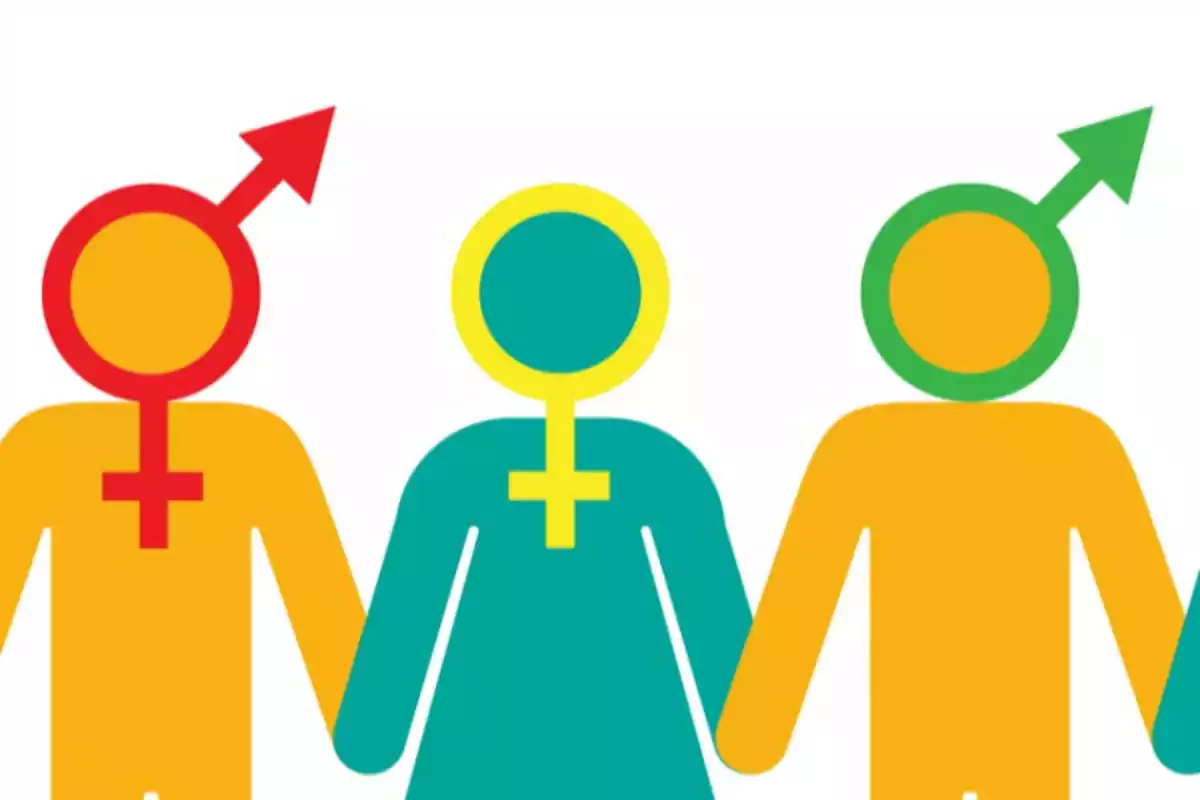 Illustration of three human figures with gender symbols on their heads representing gender diversity Illustration of three human figures with gender symbols on their heads representing gender diversity