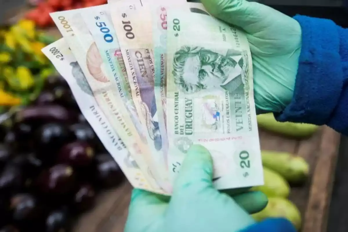 Persona con guantes sostiene billetes uruguayos frente a un puesto de verduras Persona con guantes sostiene billetes uruguayos frente a un puesto de verduras