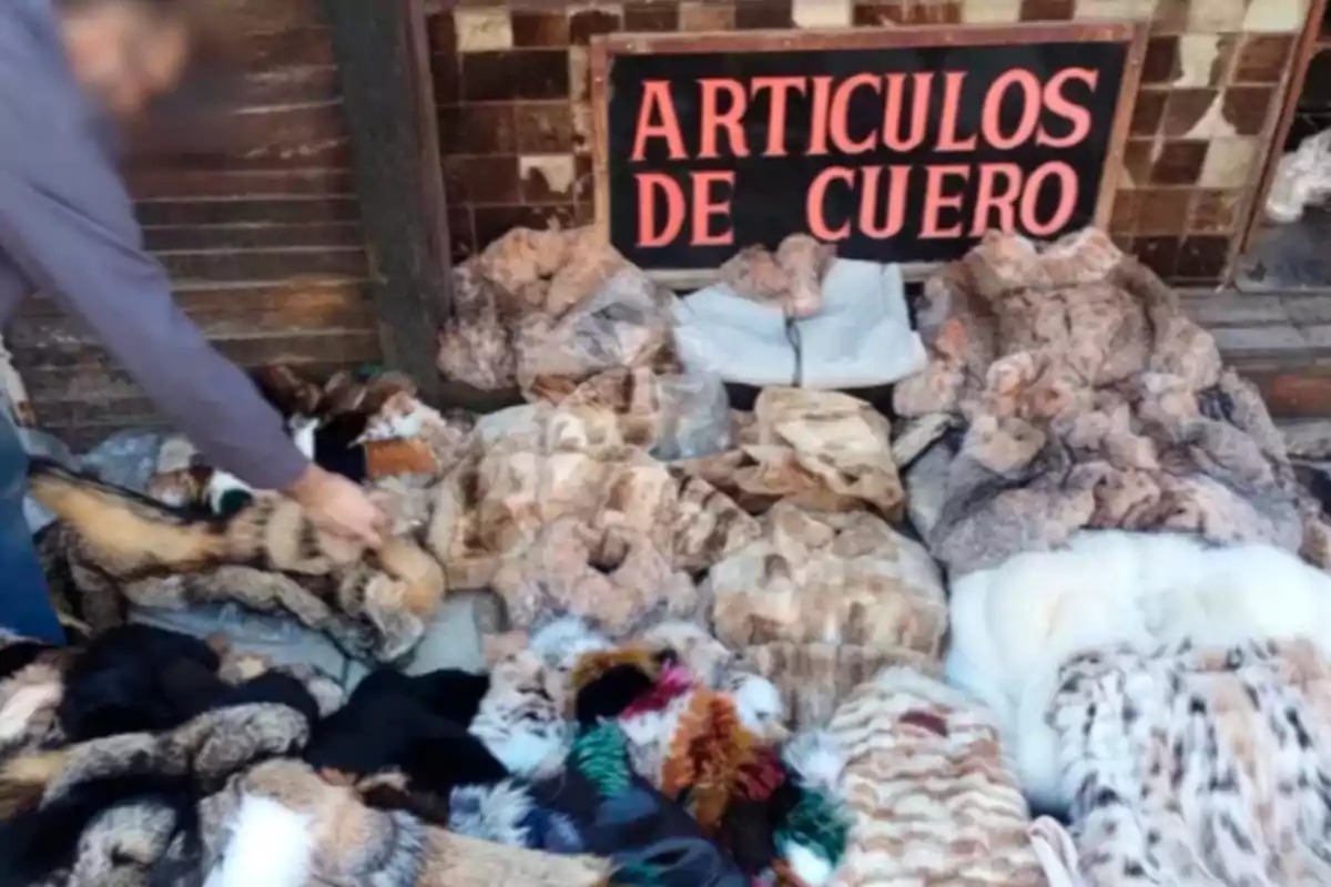 Person arranging furs and leather goods on the ground in front of a sign that says Person arranging furs and leather goods on the ground in front of a sign that says