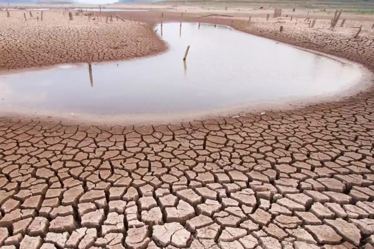 Tierra agrietada por la sequía con un pequeño charco de agua en el centro