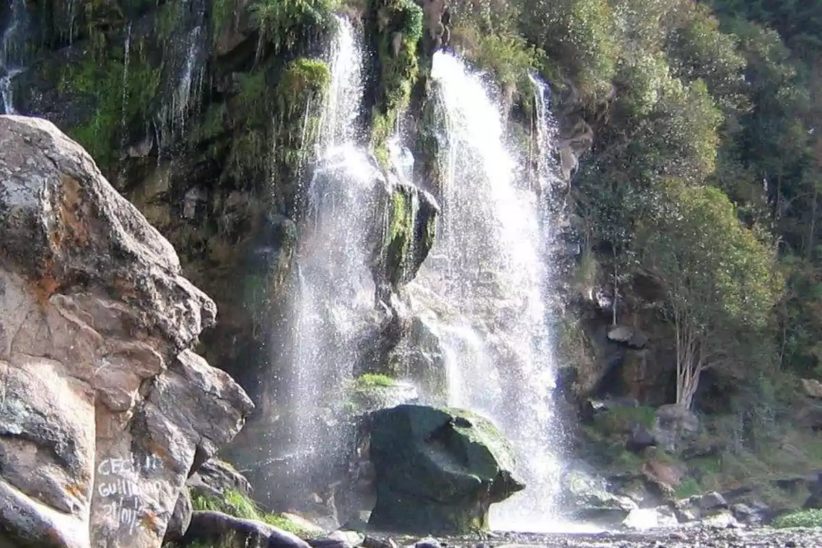 Waterfall cascading over rocks surrounded by vegetation and trees Waterfall cascading over rocks surrounded by vegetation and trees