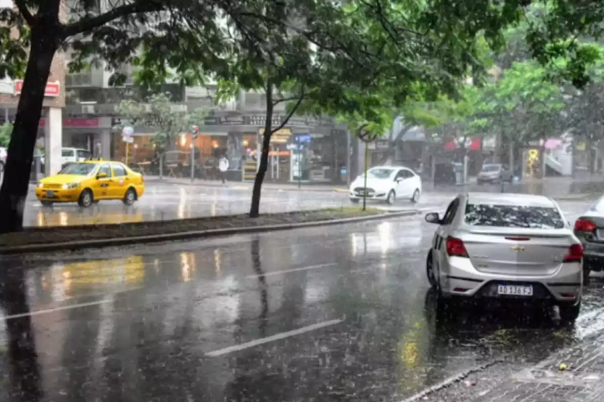 Urban street with parked and moving cars under heavy rain, surrounded by trees and commercial buildings in the background.