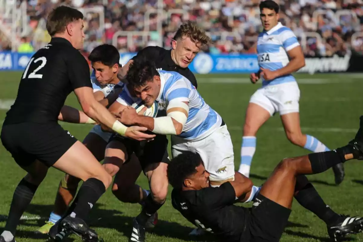 Jugadores de rugby de Argentina y Nueva Zelanda forcejean por el balón durante un partido en un estadio lleno de espectadores