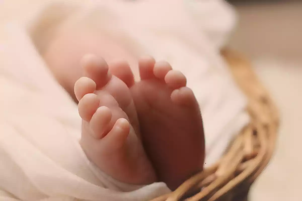 Pies de un bebé descansando sobre una manta blanca dentro de una canasta Pies de un bebé descansando sobre una manta blanca dentro de una canasta