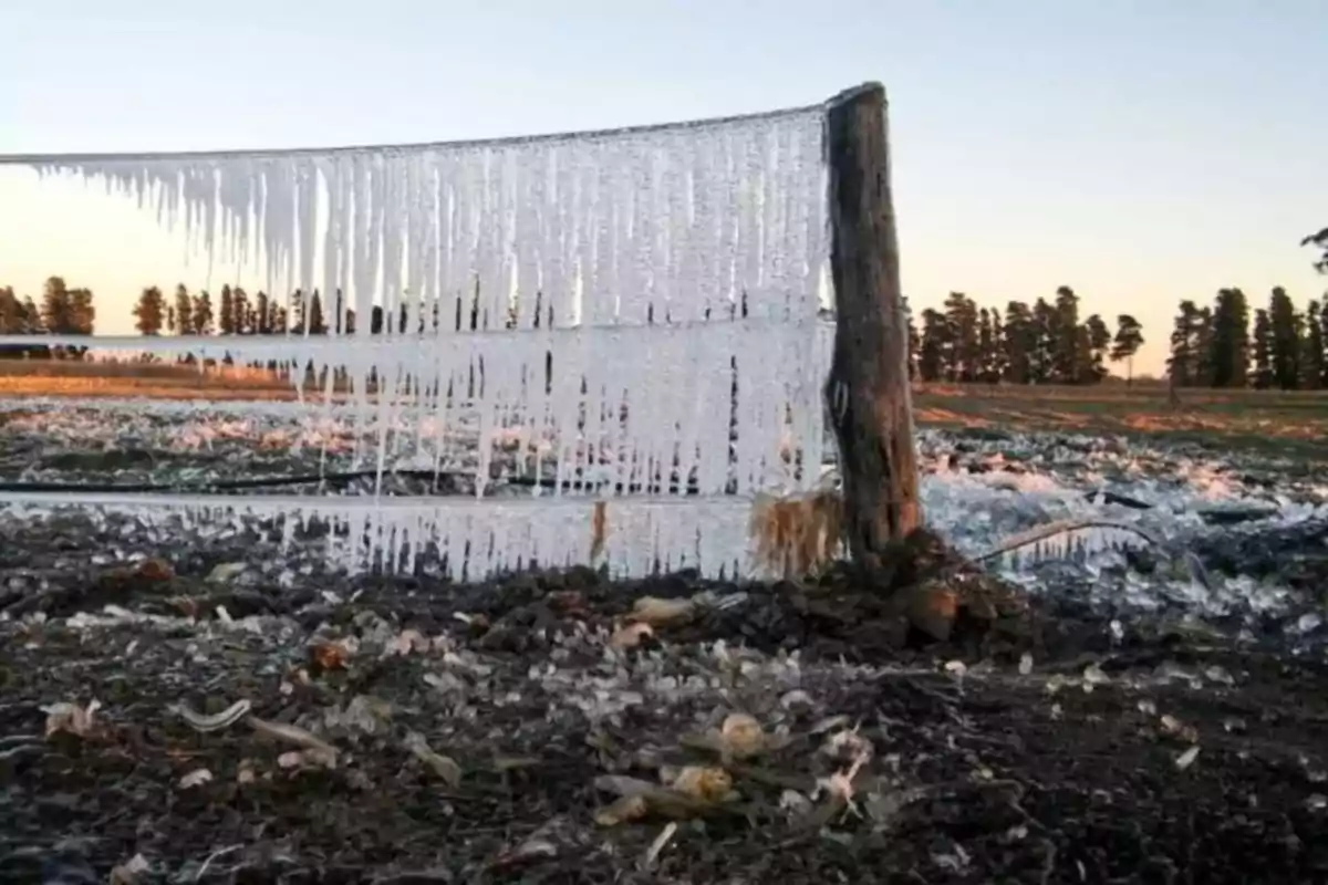 Near a field, a wooden and wire fence is covered with icicles formed by the cold, with the sun rising in the background and trees on the horizon.