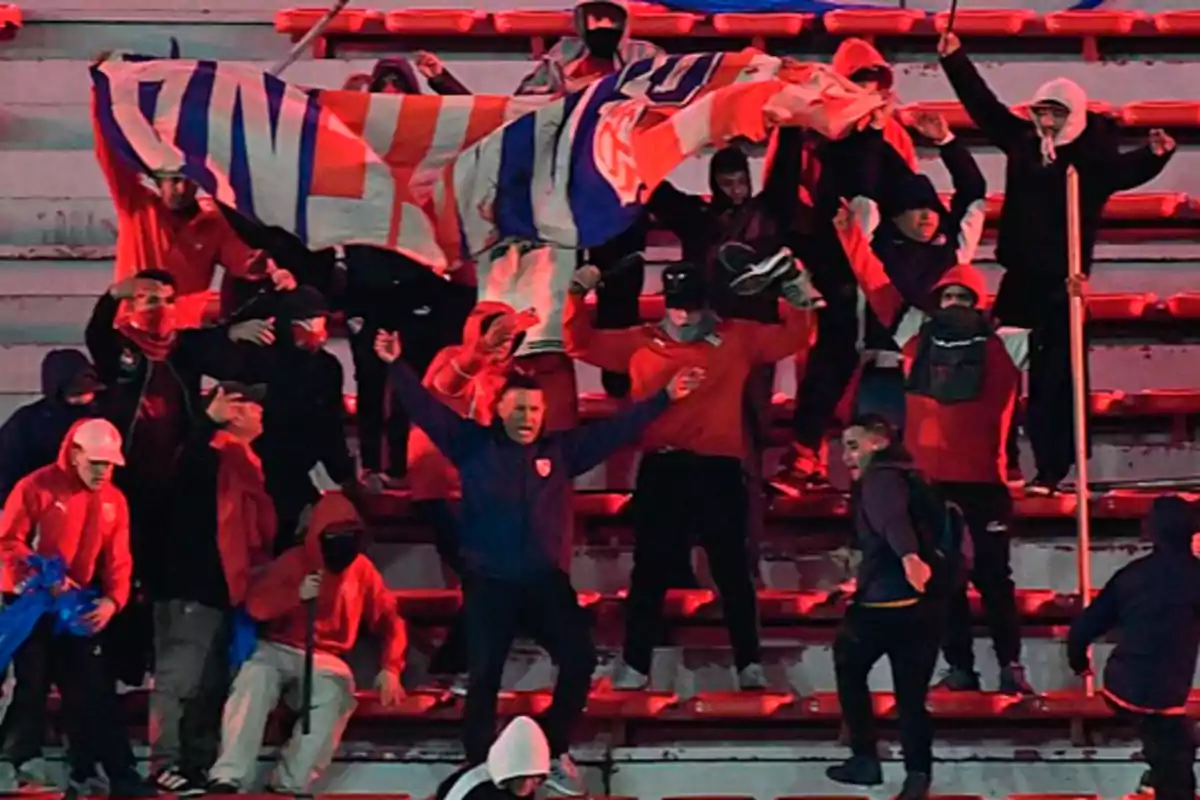Aficionados en las gradas de un estadio con banderas y ropa deportiva mostrando gestos de euforia y emoción Aficionados en las gradas de un estadio con banderas y ropa deportiva mostrando gestos de euforia y emoción